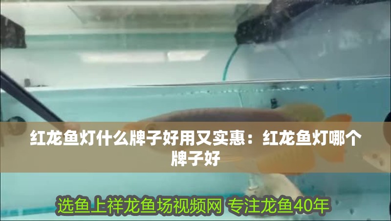 紅龍魚燈什么牌子好用又實惠：紅龍魚燈哪個牌子好