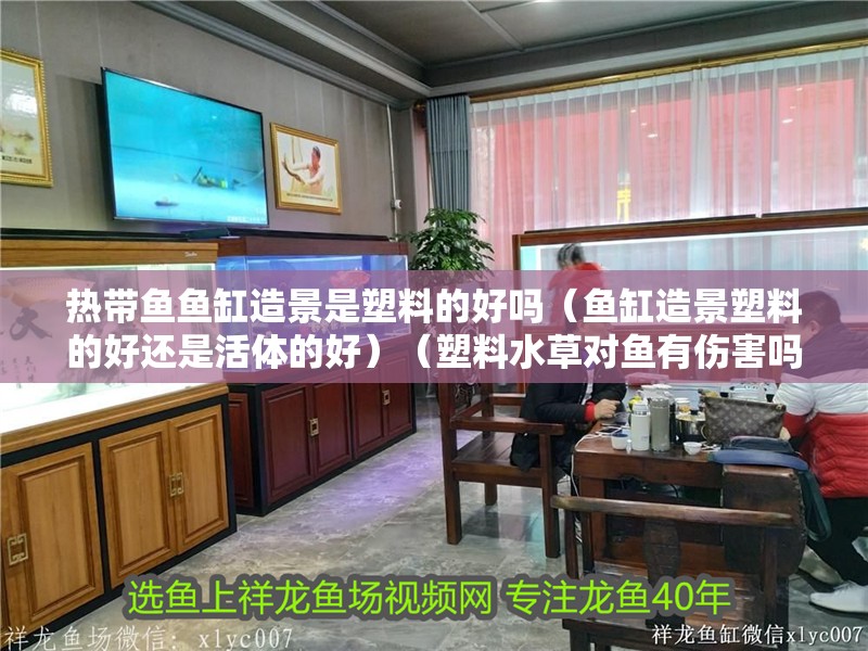 熱帶魚魚缸造景是塑料的好嗎（魚缸造景塑料的好還是活體的好）（塑料水草對魚有傷害嗎） 熱帶魚魚缸造景是塑料的好嗎（魚缸造景塑料的好還是活體的好）（塑料水草對魚有傷害嗎） 魚缸百科