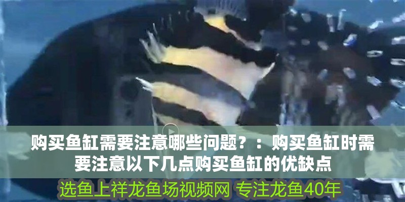 購買魚缸需要注意哪些問題？：購買魚缸時需要注意以下幾點購買魚缸的優缺點