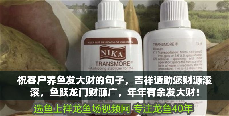 祝客戶養魚發大財的句子，吉祥話助您財源滾滾，魚躍龍門財源廣，年年有余發大財！ 祝客戶養魚發大財的句子，吉祥話助您財源滾滾，魚躍龍門財源廣，年年有余發大財！ 龍魚百科 第1張