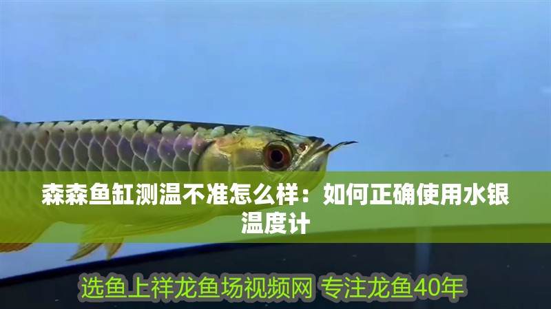 森森魚缸測溫不準怎么樣：如何正確使用水銀溫度計 森森魚缸測溫不準怎么樣：如何正確使用水銀溫度計 魚缸百科