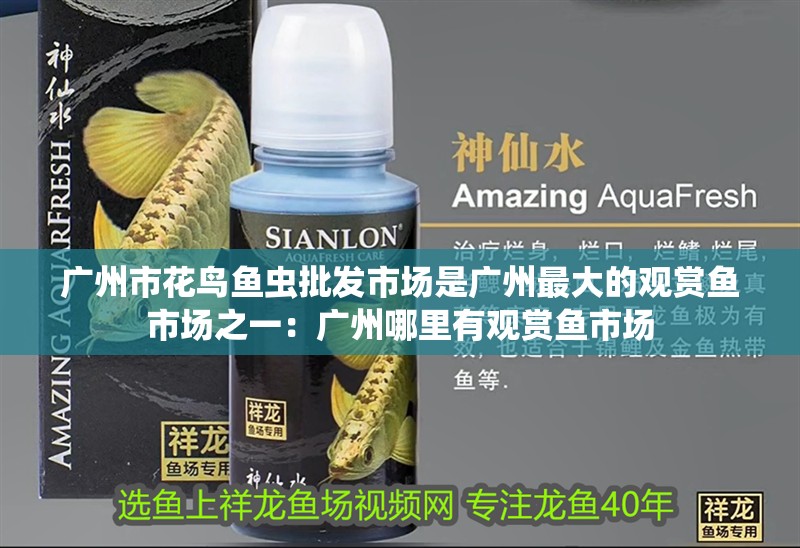 魚缸用增氧泵價格是多少:魚缸增氧機-xtrac增氧機-xtrac增氧機 廣州市花鳥魚蟲批發市場是廣州最大的觀賞魚市場之一:廣州哪里有觀賞魚市場 魚缸百科 廣州市花鳥魚蟲批發市場是廣州最大的觀賞魚市場之一:廣州哪里有觀賞魚市場 廣州市花鳥魚蟲批發市場是廣州最大的觀賞魚市場之一:廣州哪里有觀賞魚市場 魚缸百科