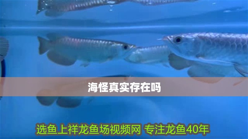 給大魚缸換水的作文:體驗給大魚缸換水的樂趣:體驗給大魚缸換水:給大魚缸換水的作文 海怪真實存在嗎 龍魚論壇 海怪真實存在嗎 海怪真實存在嗎 龍魚論壇