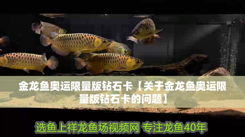 金龍魚(yú)奧運(yùn)限量版鉆石卡【關(guān)于金龍魚(yú)奧運(yùn)限量版鉆石卡的問(wèn)題】 金龍魚(yú)奧運(yùn)限量版鉆石卡【關(guān)于金龍魚(yú)奧運(yùn)限量版鉆石卡的問(wèn)題】 龍魚(yú)百科