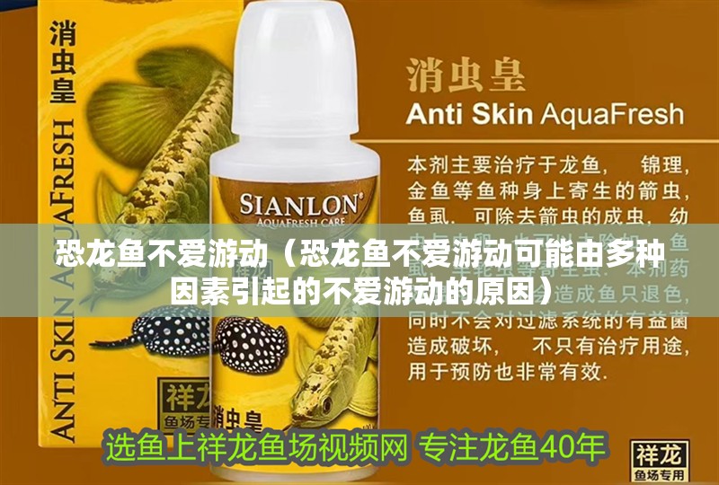 恐龍魚不愛游動（恐龍魚不愛游動可能由多種因素引起的不愛游動的原因）