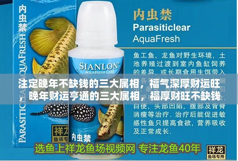 注定晚年不缺錢的三大屬相，福氣深厚財運旺，晚年財運亨通的三大屬相，福厚財旺不缺錢