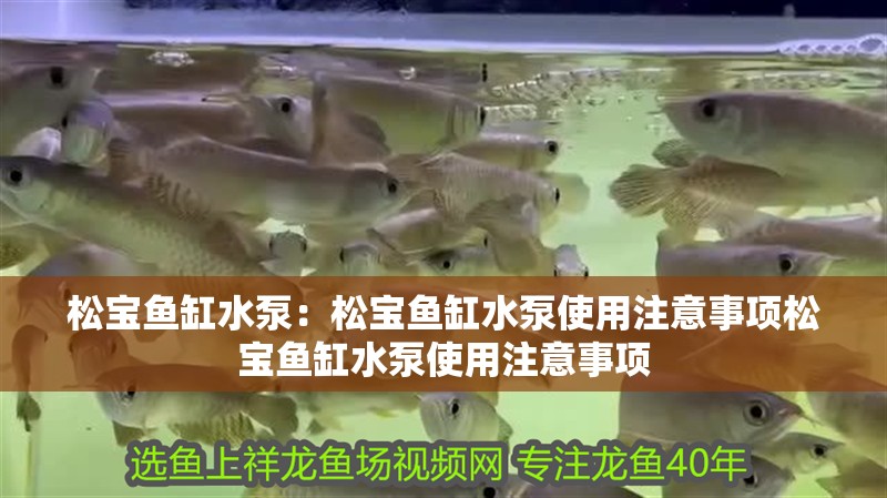 松寶魚缸水泵：松寶魚缸水泵使用注意事項(xiàng)松寶魚缸水泵使用注意事項(xiàng)
