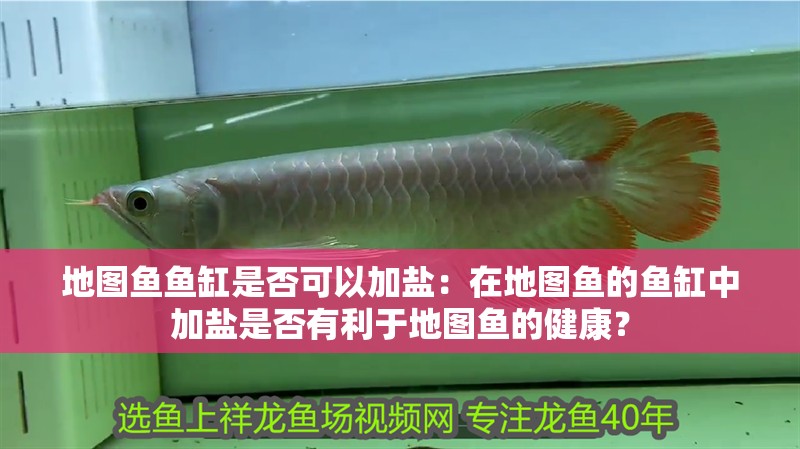 地圖魚(yú)魚(yú)缸是否可以加鹽：在地圖魚(yú)的魚(yú)缸中加鹽是否有利于地圖魚(yú)的健康？