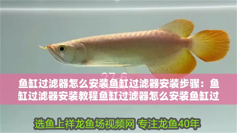 魚缸過濾器怎么安裝魚缸過濾器安裝步驟：魚缸過濾器安裝教程魚缸過濾器怎么安裝魚缸過濾器安裝教程