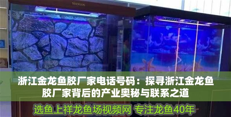 浙江金龍魚膠廠家電話號碼：探尋浙江金龍魚膠廠家背后的產業奧秘與聯系之道