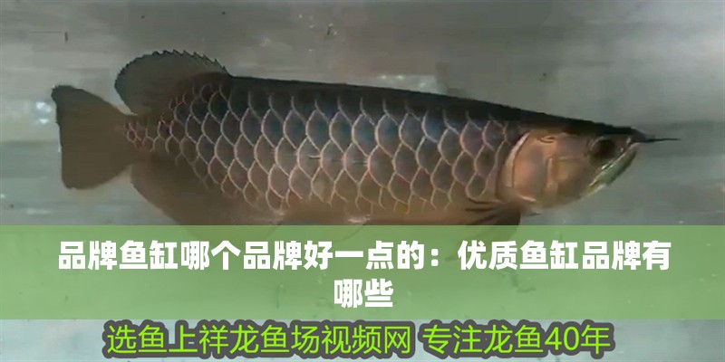 品牌魚(yú)缸哪個(gè)品牌好一點(diǎn)的：優(yōu)質(zhì)魚(yú)缸品牌有哪些