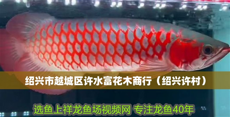 紹興市越城區許水富花木商行（紹興許村）