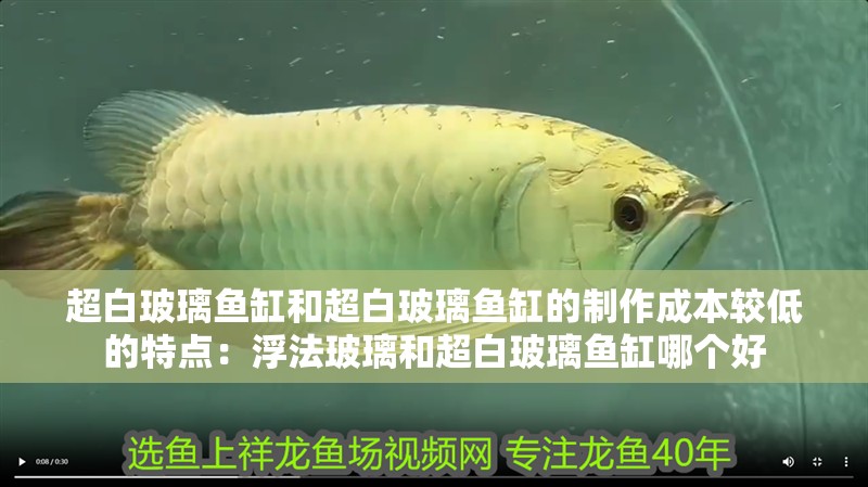 超白玻璃魚缸和超白玻璃魚缸的制作成本較低的特點：浮法玻璃和超白玻璃魚缸哪個好
