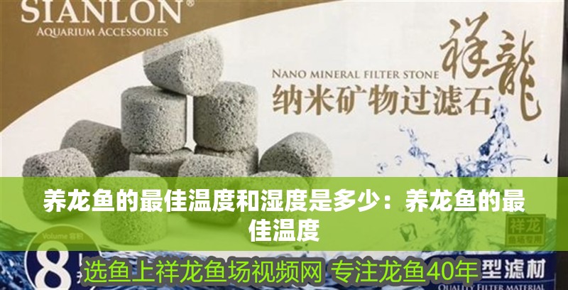 養龍魚的最佳溫度和濕度是多少：養龍魚的最佳溫度