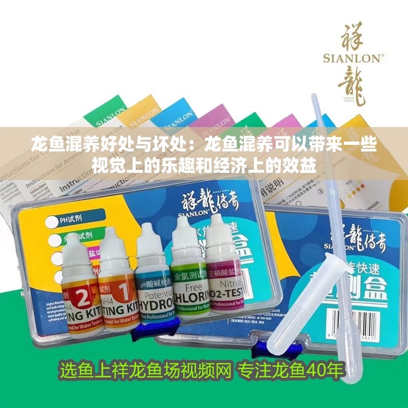 龍魚混養好處與壞處：龍魚混養可以帶來一些視覺上的樂趣和經濟上的效益