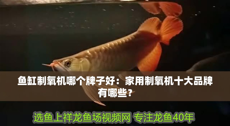 魚缸制氧機哪個牌子好：家用制氧機十大品牌有哪些？