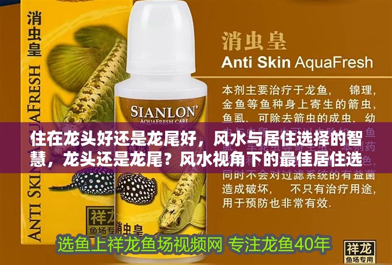 住在龍頭好還是龍尾好，風水與居住選擇的智慧，龍頭還是龍尾？風水視角下的最佳居住選擇智慧