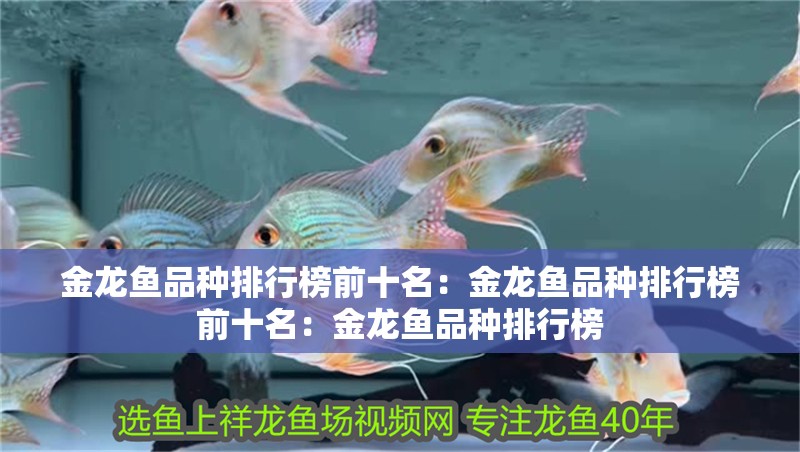 金龍魚品種排行榜前十名：金龍魚品種排行榜前十名：金龍魚品種排行榜