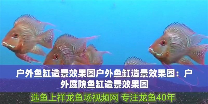 戶外魚缸造景效果圖戶外魚缸造景效果圖：戶外庭院魚缸造景效果圖