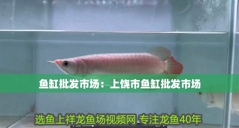魚缸批發市場：上饒市魚缸批發市場
