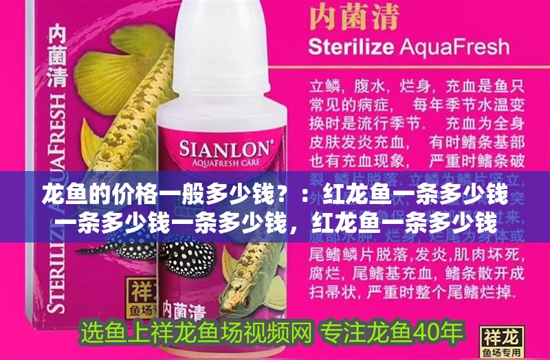 龍魚的價格一般多少錢？：紅龍魚一條多少錢一條多少錢一條多少錢，紅龍魚一條多少錢