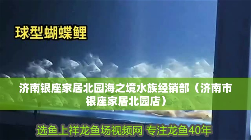 濟南銀座家居北園海之境水族經銷部（濟南市銀座家居北園店）