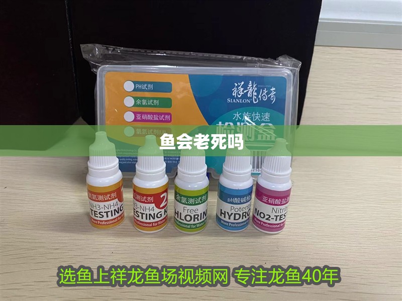 魚(yú)會(huì)老死嗎 魚(yú)會(huì)老死嗎 龍魚(yú)論壇