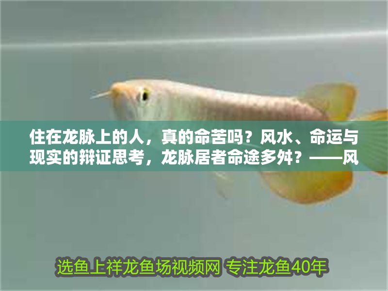 住在龍脈上的人，真的命苦嗎？風(fēng)水、命運(yùn)與現(xiàn)實(shí)的辯證思考，龍脈居者命途多舛？——風(fēng)水信仰與現(xiàn)實(shí)人生的深層對(duì)話