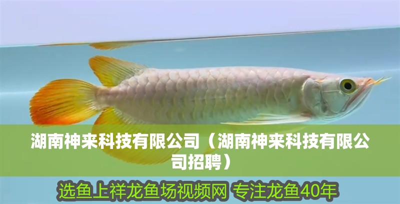 湖南神來科技有限公司（湖南神來科技有限公司招聘）