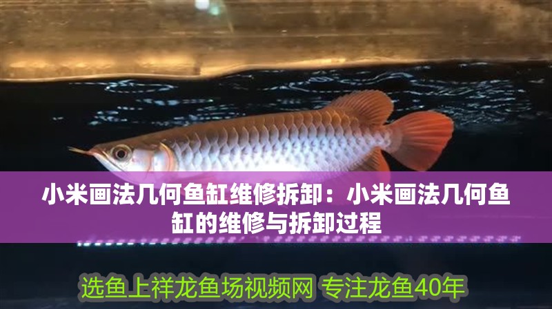 小米畫法幾何魚缸維修拆卸：小米畫法幾何魚缸的維修與拆卸過(guò)程