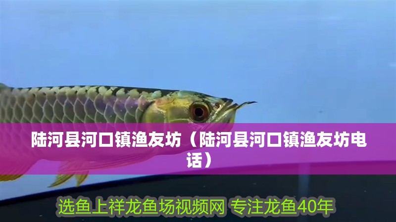 龍魚干蝦有營養嗎 陸河縣河口鎮漁友坊(陸河縣河口鎮漁友坊電話) 全國水族館企業名錄 陸河縣河口鎮漁友坊(陸河縣河口鎮漁友坊電話) 陸河縣河口鎮漁友坊(陸河縣河口鎮漁友坊電話) 全國水族館企業名錄