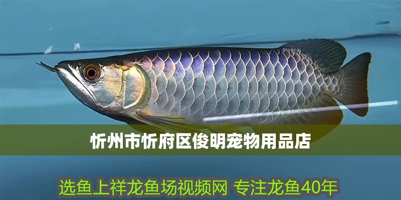 忻州市忻府區(qū)俊明寵物用品店