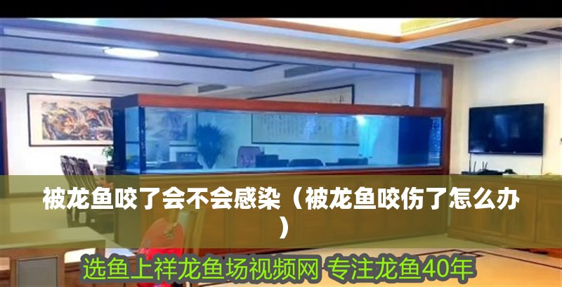 被龍魚咬了會不會感染（被龍魚咬傷了怎么辦）