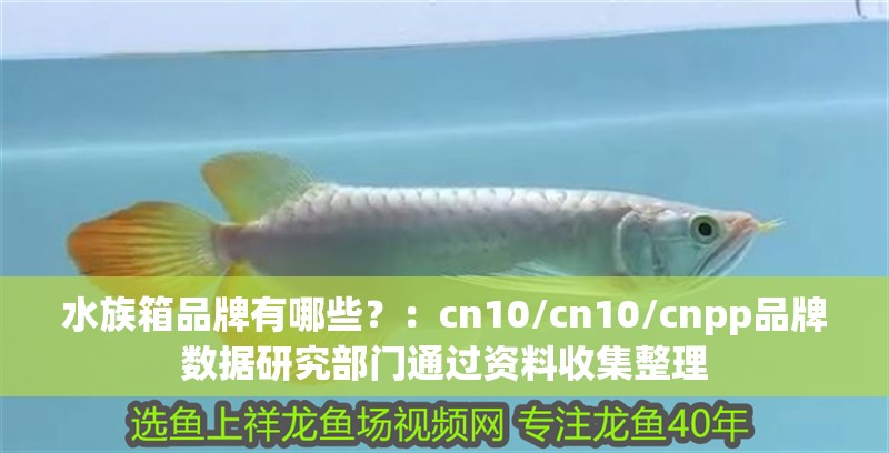 水族箱品牌有哪些？：cn10/cn10/cnpp品牌數據研究部門通過資料收集整理