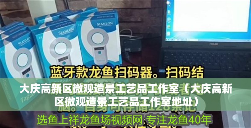 大慶高新區微觀造景工藝品工作室（大慶高新區微觀造景工藝品工作室地址）