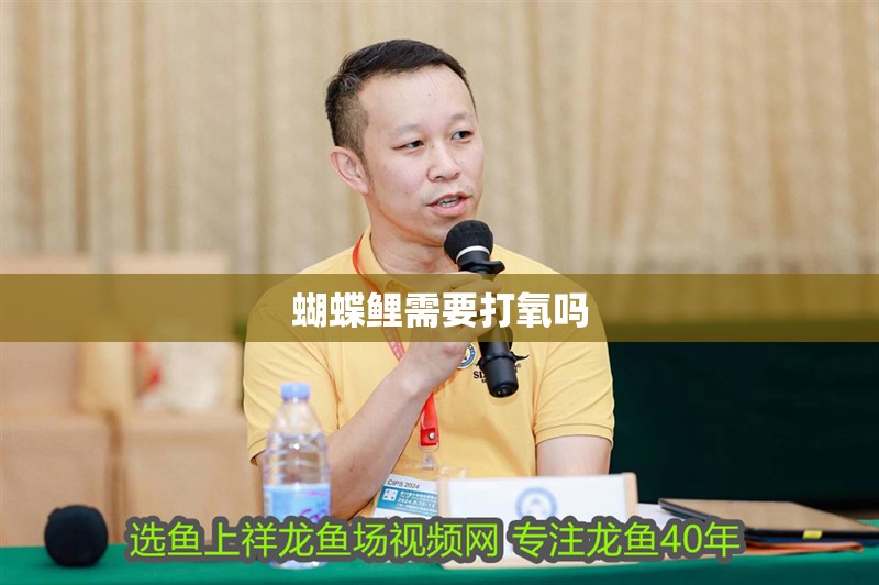 蝴蝶鯉需要打氧嗎
