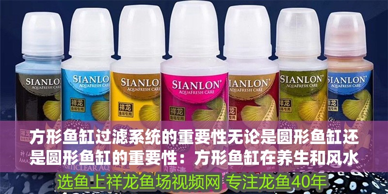 方形魚缸過濾系統的重要性無論是圓形魚缸還是圓形魚缸的重要性：方形魚缸在養生和風水方面成長的重要性