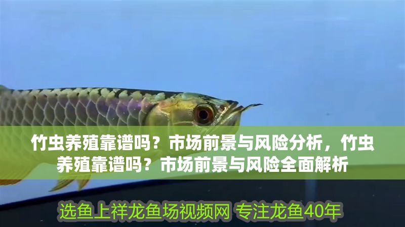 竹蟲養殖靠譜嗎？市場前景與風險分析，竹蟲養殖靠譜嗎？市場前景與風險全面解析