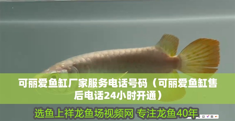 魚缸過濾器選購指南:自制魚缸過濾器魚缸上置過濾器對于養魚愛好者的必備知識 可麗愛魚缸廠家服務電話號碼(可麗愛魚缸售后電話24小時開通) 魚缸百科 可麗愛魚缸廠家服務電話號碼(可麗愛魚缸售后電話24小時開通) 可麗愛魚缸廠家服務電話號碼(可麗愛魚缸售后電話24小時開通) 魚缸百科