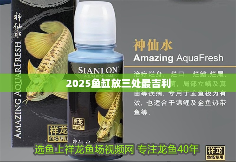 2025魚缸放三處最吉利 2025魚缸放三處最吉利 龍魚論壇