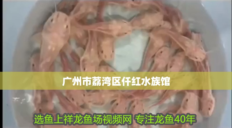 廣州市荔灣區(qū)仟紅水族館