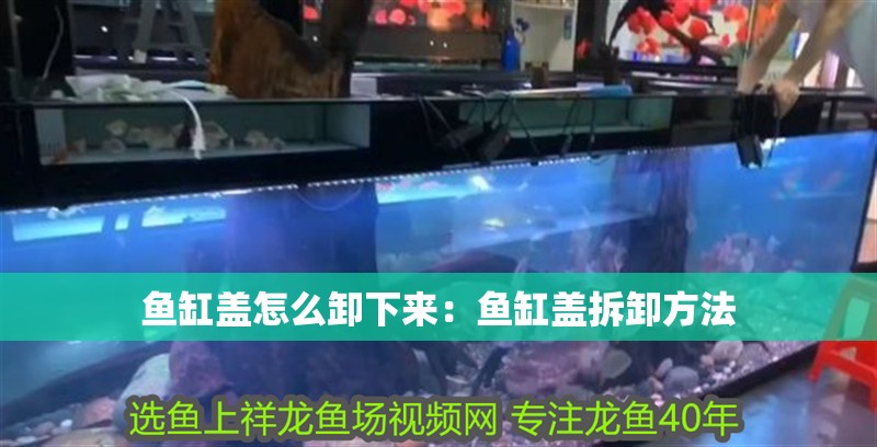 魚缸蓋怎么卸下來：魚缸蓋拆卸方法