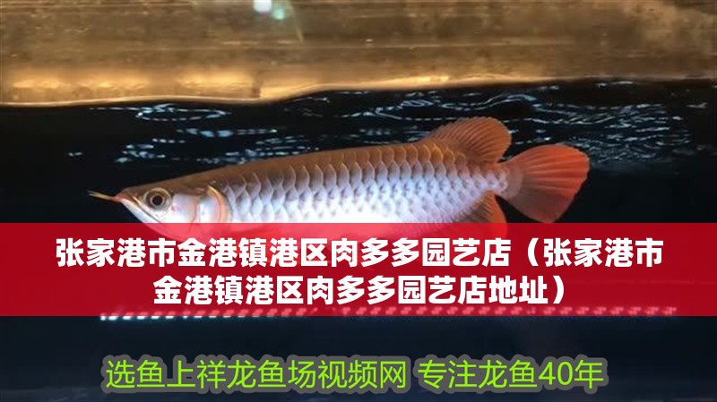 張家港市金港鎮港區肉多多園藝店（張家港市金港鎮港區肉多多園藝店地址）