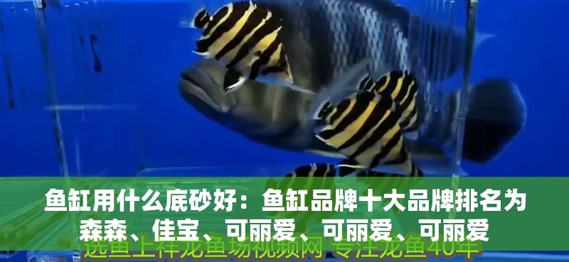 魚缸用什么底砂好：魚缸品牌十大品牌排名為森森、佳寶、可麗愛、可麗愛、可麗愛