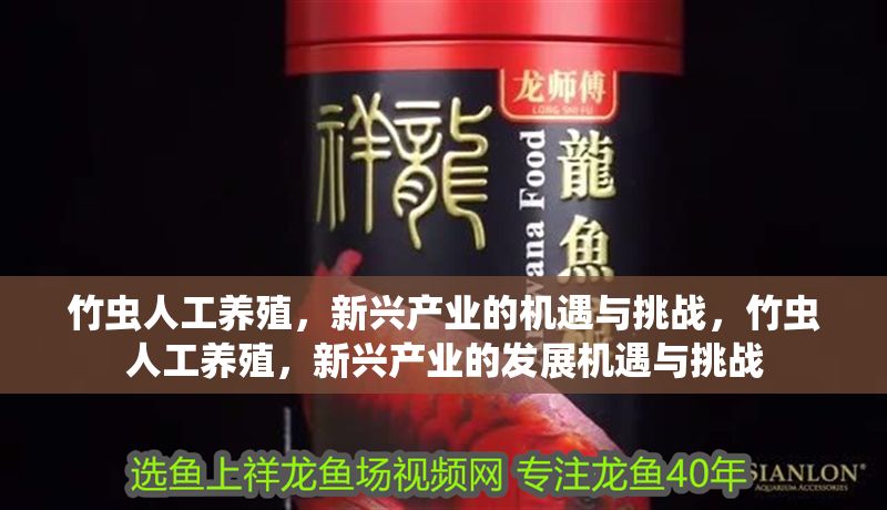 竹蟲人工養殖，新興產業的機遇與挑戰，竹蟲人工養殖，新興產業的發展機遇與挑戰