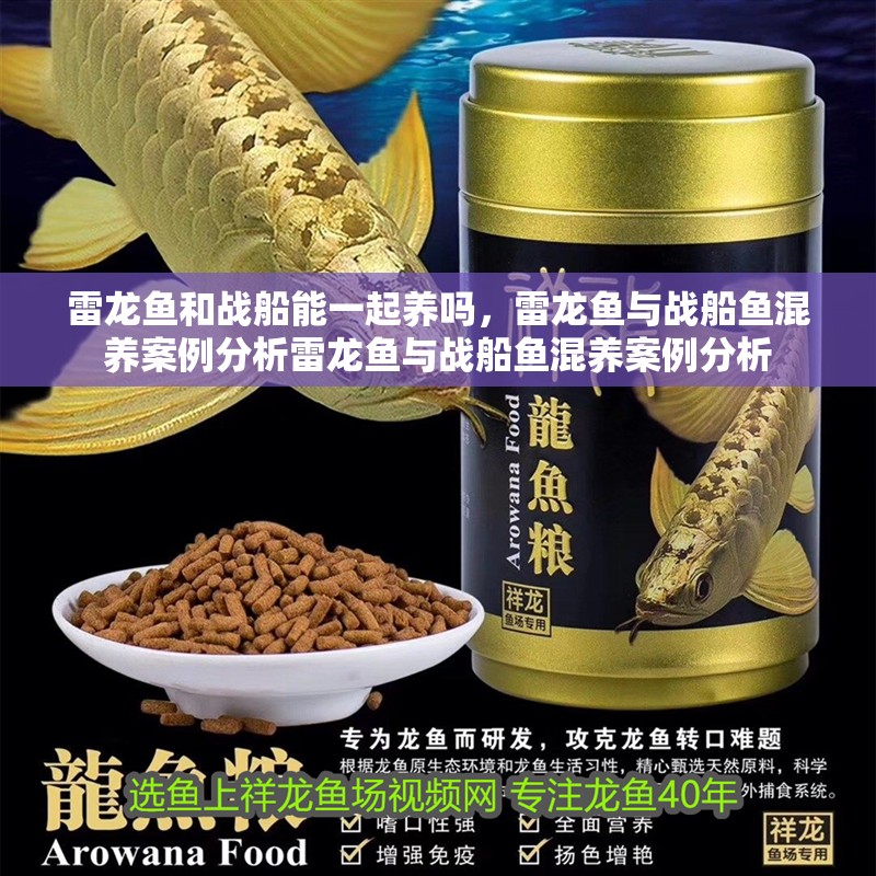 雷龍魚和戰船能一起養嗎，雷龍魚與戰船魚混養案例分析雷龍魚與戰船魚混養案例分析