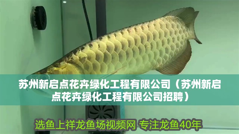 蘇州新啟點花卉綠化工程有限公司（蘇州新啟點花卉綠化工程有限公司招聘）