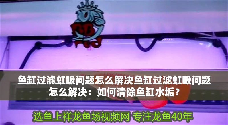 魚缸過濾虹吸問題怎么解決魚缸過濾虹吸問題怎么解決：如何清除魚缸水垢？