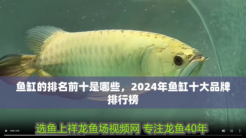 魚缸的排名前十是哪些，2024年魚缸十大品牌排行榜 魚缸的排名前十是哪些，2024年魚缸十大品牌排行榜 魚缸百科