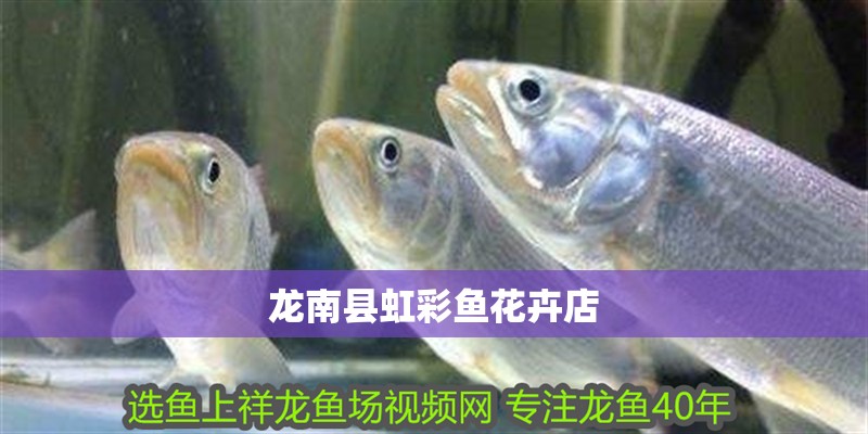 龍南縣虹彩魚花卉店